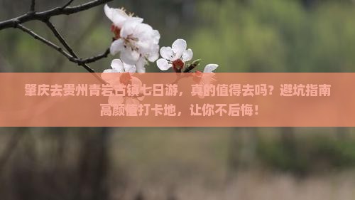 肇庆去贵州青岩古镇七日游