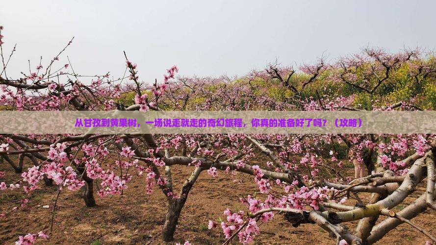 甘孜到贵州黄果树瀑布个人游