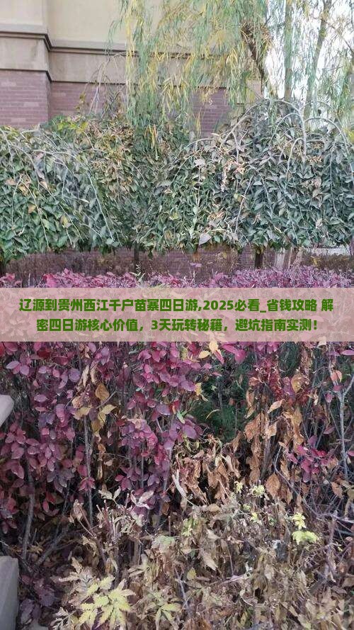 辽源到贵州西江千户苗寨四日游