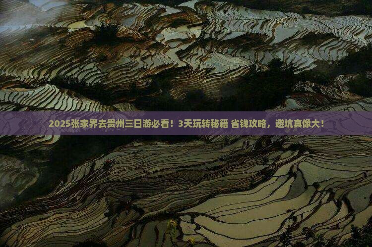 张家界去贵州三日游