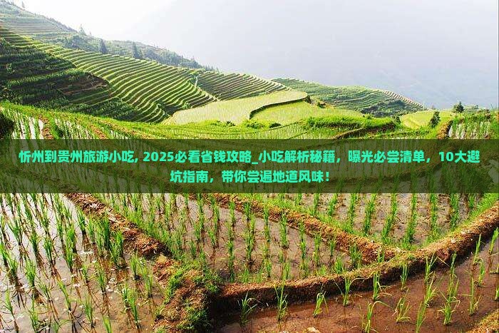 忻州到贵州旅游小吃