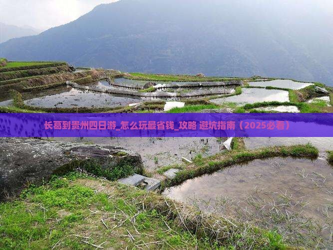 长葛到贵州四日游