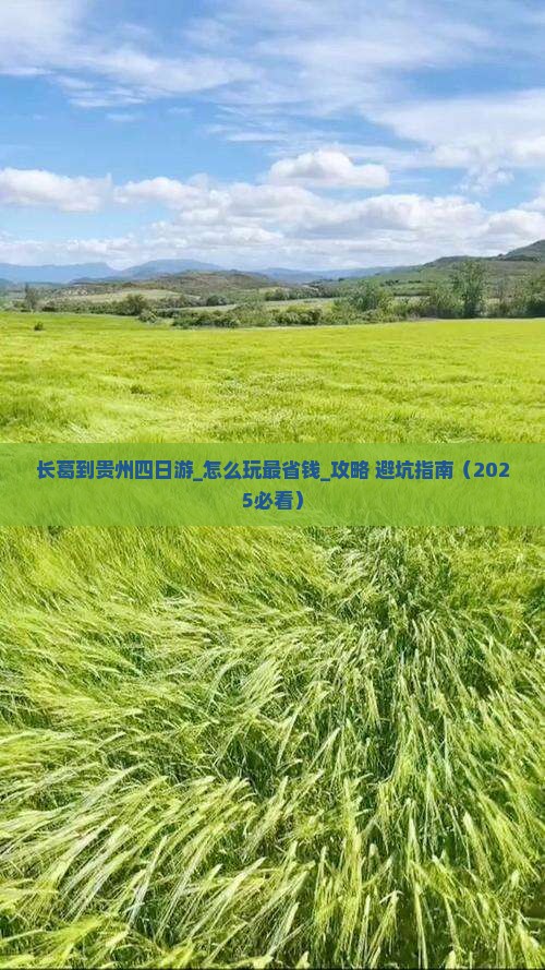 长葛到贵州四日游
