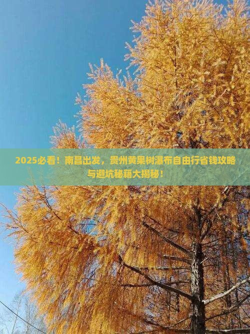 南昌去贵州黄果树瀑布自由行