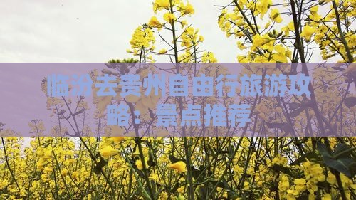 临汾去贵州个人游