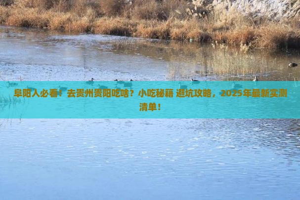 阜阳去贵州贵阳旅游小吃