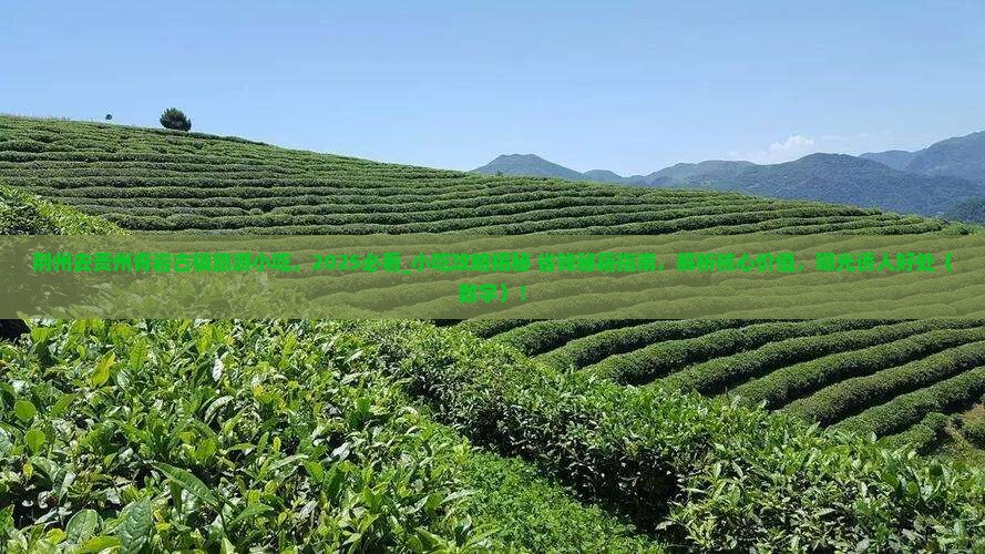 荆州去贵州青岩古镇旅游小吃