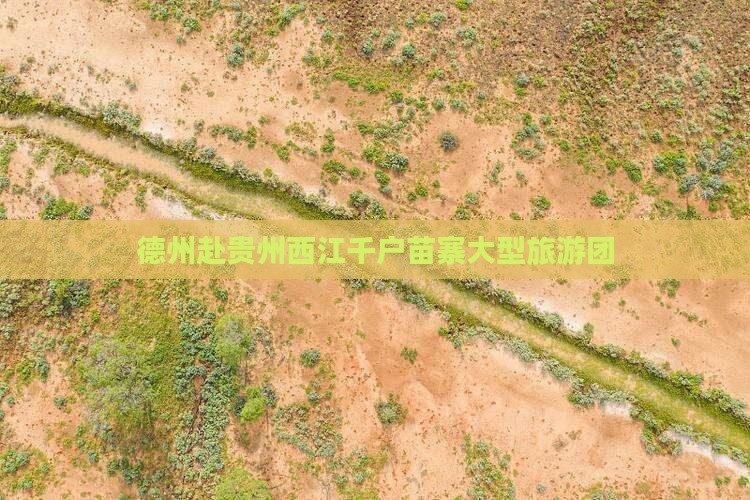 德州去贵州西江千户苗寨大型旅游团