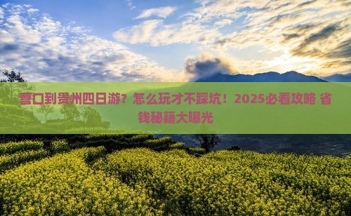 营口到贵州四日游