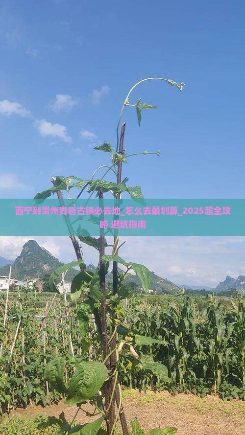 西宁到贵州青岩古镇必去地