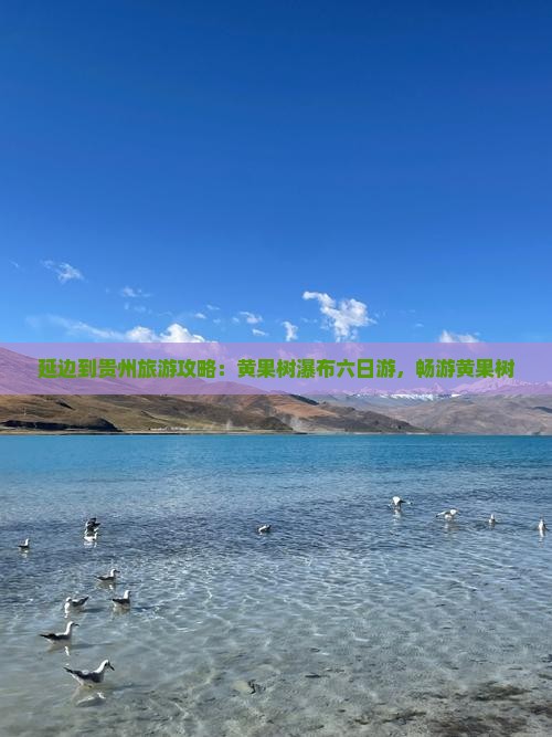 延边到贵州黄果树瀑布六日游
