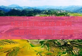 黔南去贵州黄果树瀑布旅游小吃