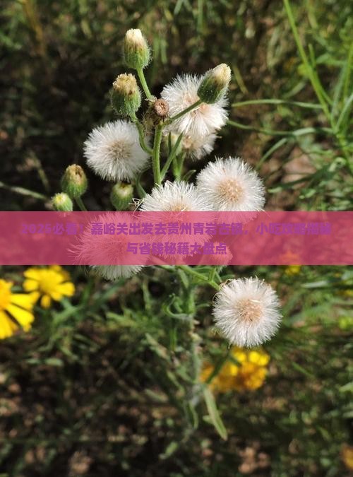 嘉峪关去贵州青岩古镇旅游小吃 嘉峪关去贵州青岩古镇旅游小吃