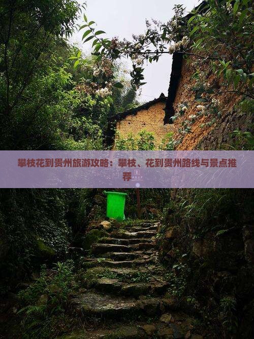 攀枝花去贵州旅游 攀枝花去贵州旅游