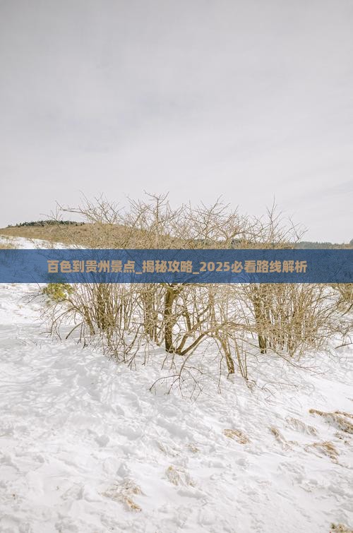 百色到贵州景点