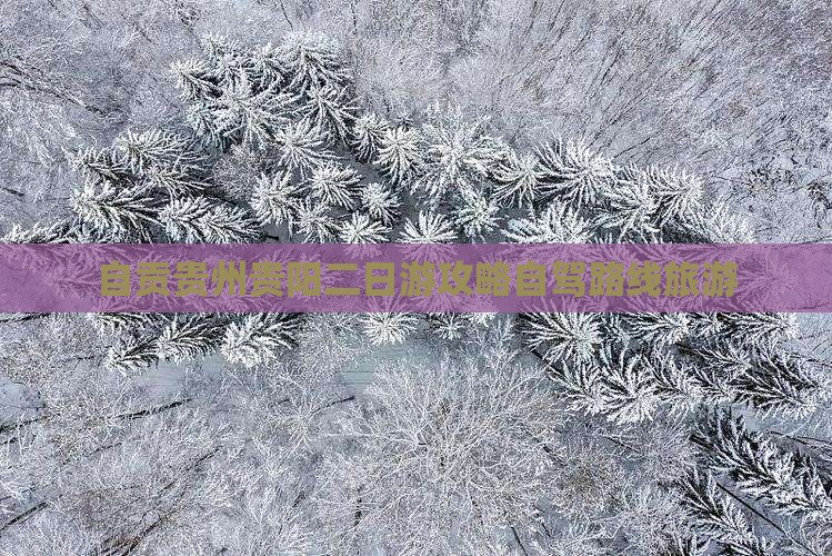 自贡去贵州贵阳二日游