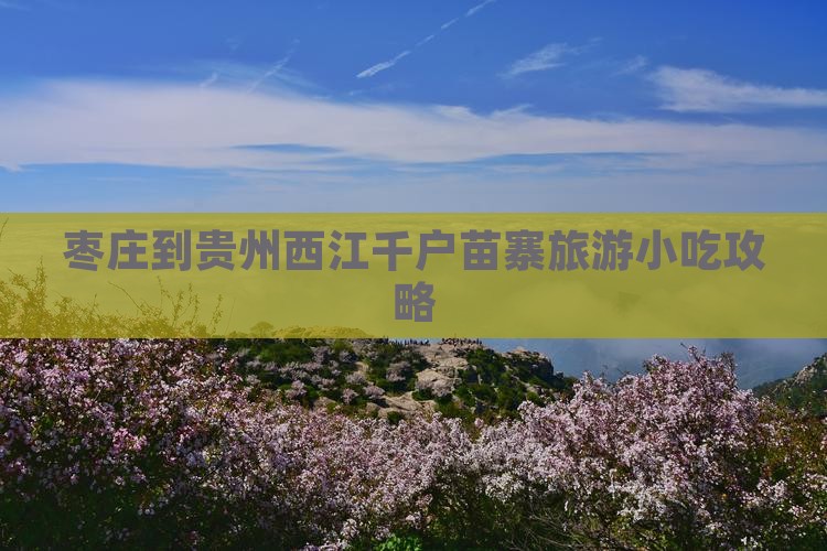 枣庄到贵州西江千户苗寨旅游小吃