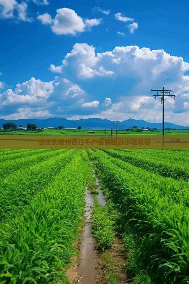 枣庄到贵州西江千户苗寨旅游小吃
