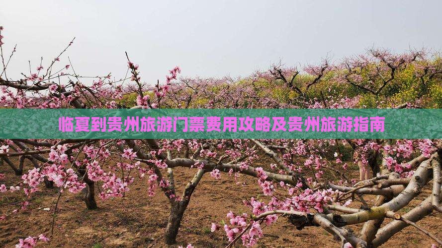 临夏到贵州门票 临夏到贵州门票