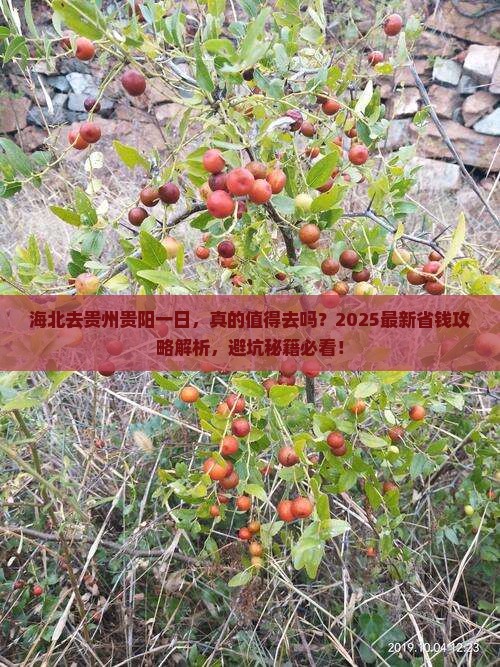 海北去贵州贵阳一日