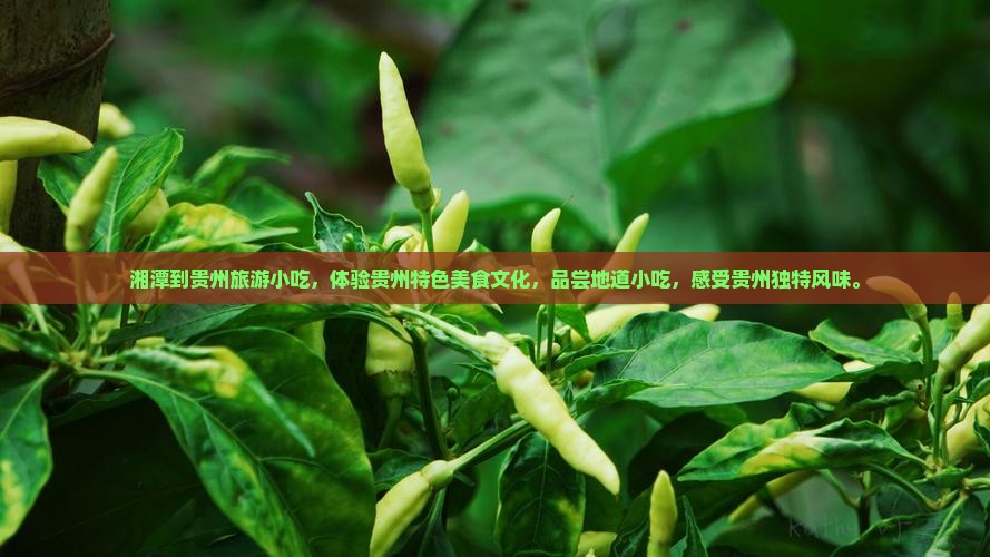 湘潭到贵州旅游小吃