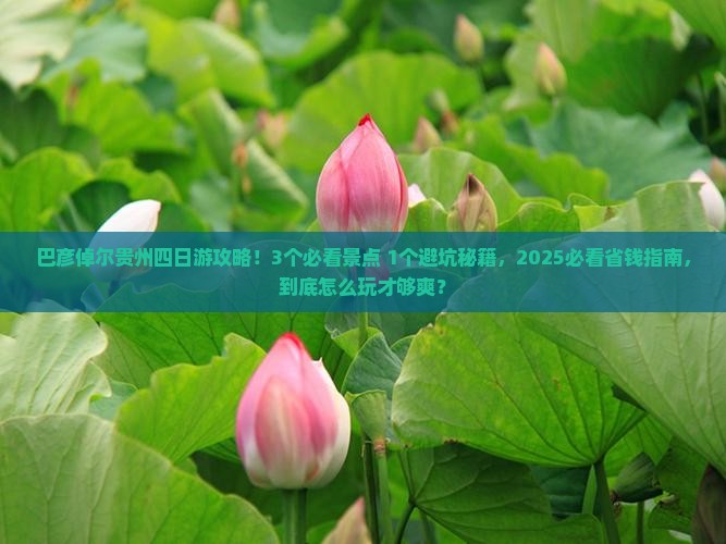 巴彦倬尔到贵州四日游