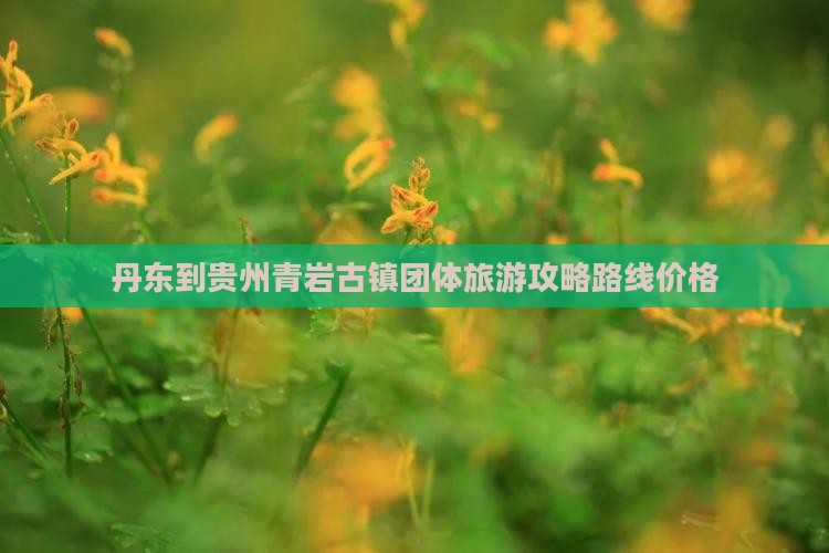 丹东到贵州青岩古镇团体旅游