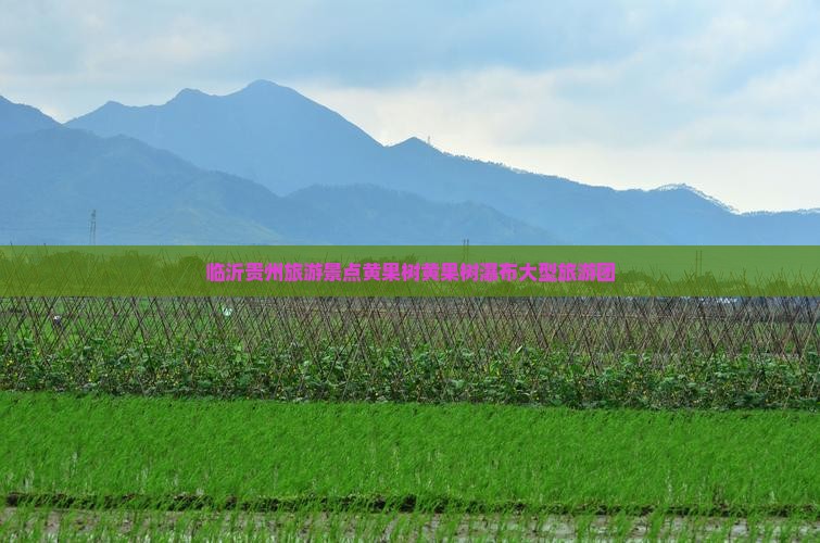临沂去贵州黄果树瀑布大型旅游团