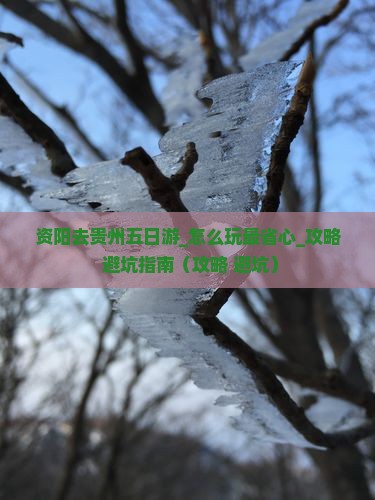 资阳去贵州五日游