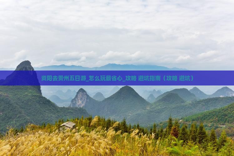 资阳去贵州五日游