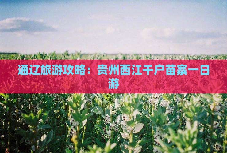 通辽市到贵州西江千户苗寨一日