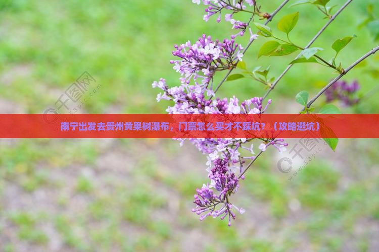 南宁去贵州黄果树瀑布门票