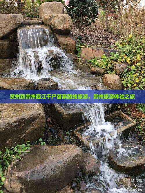 贺州到贵州西江千户苗寨大型旅游团