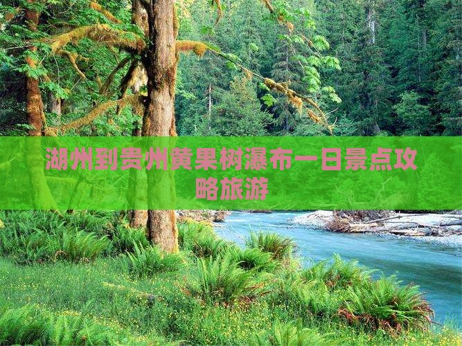 湖州到贵州黄果树瀑布一日