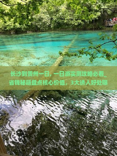 长沙到贵州一日