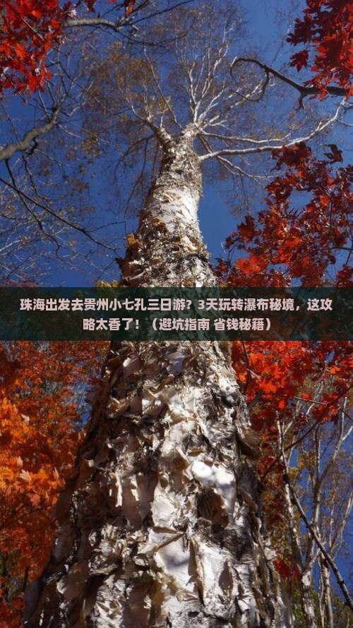 珠海到贵州小七孔三日游