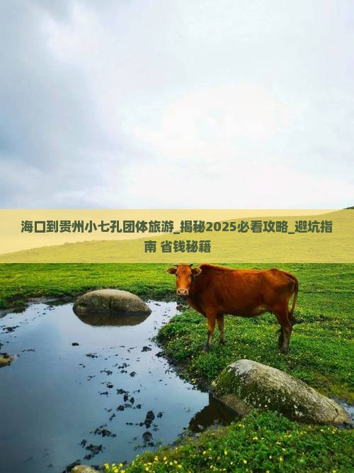 海口到贵州小七孔团体旅游