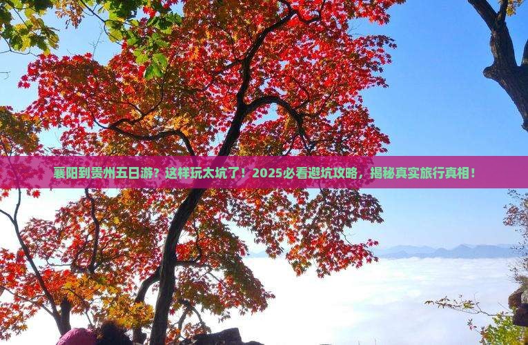襄阳到贵州五日游