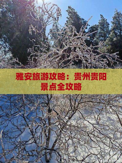 雅安去贵州贵阳旅游