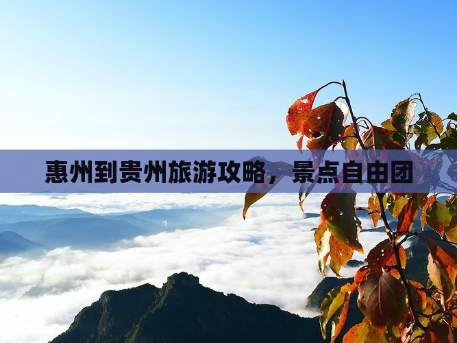 惠州到贵州自由团