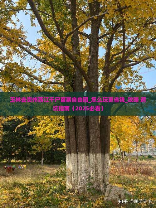 玉林去贵州西江千户苗寨自由团