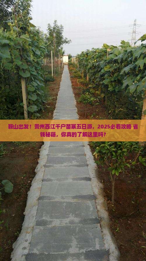 鞍山到贵州西江千户苗寨五日游