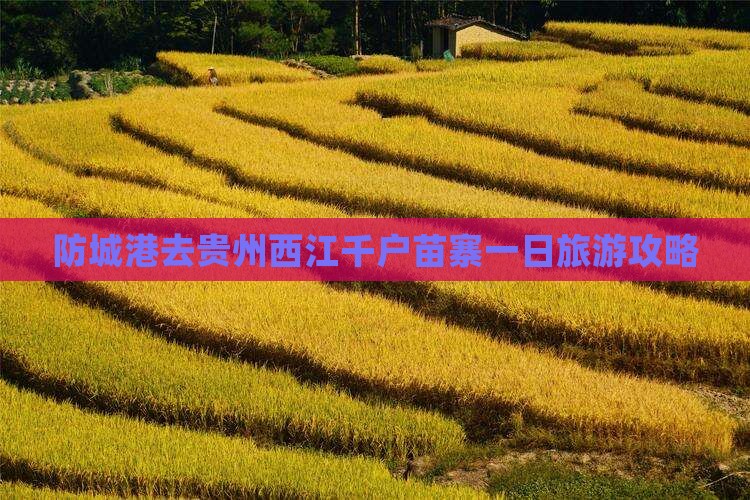 防城港去贵州西江千户苗寨一日