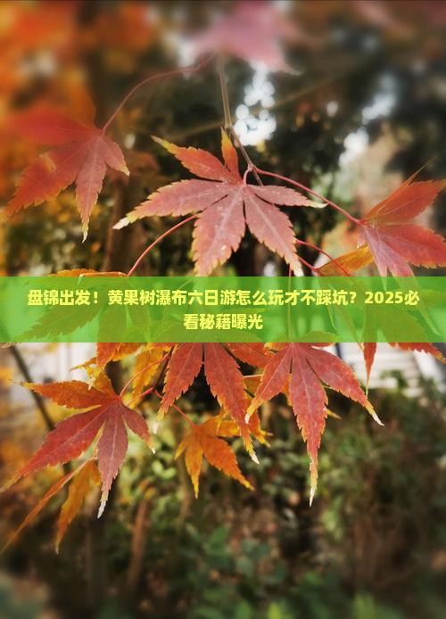 盘锦去贵州黄果树瀑布六日游