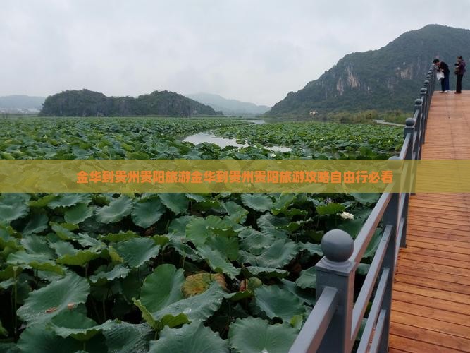 金华到贵州贵阳旅游