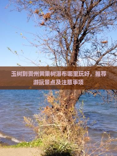 玉树到贵州黄果树瀑布哪里玩