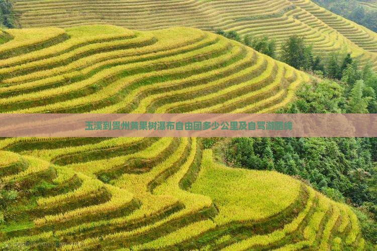 玉溪到贵州黄果树瀑布自由团