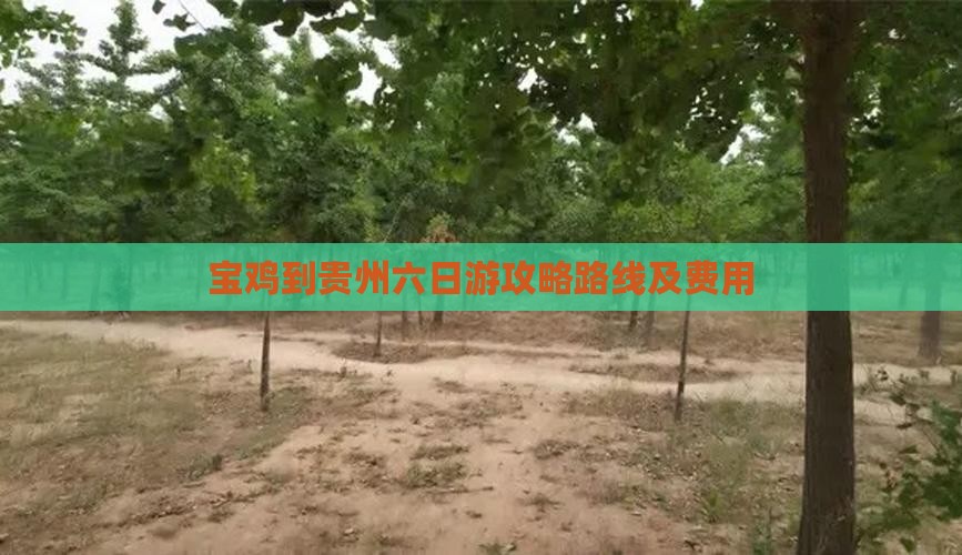 宝鸡到贵州六日游