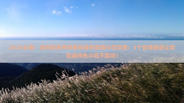 漳州到贵州黄果树瀑布旅游小吃 漳州到贵州黄果树瀑布旅游小吃