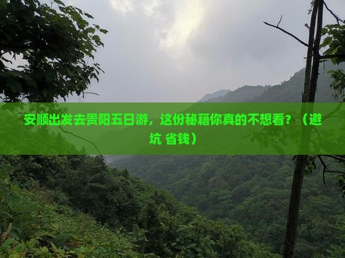 安顺去贵州贵阳五日游